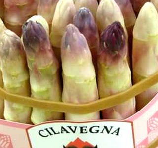Sagra dell'Asparago Cilavegna 2026