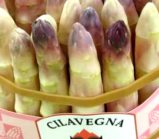 Sagra dell'Asparago ... e non solo Cilavegna 2024