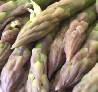 Sagra dell'Asparago Saraceno Vinchio 2026