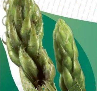 Sagra dell'Asparago Selvatico Gesturi 2026