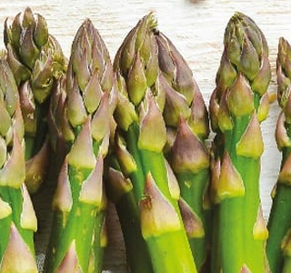 Sagra dell'Asparago Verde di Canino 2026