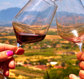 Sagra dell'Uva Italia e Sagra delle Pincinelle Colonna 2026