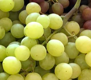 Sagra dell'Uva Misinto 2023
