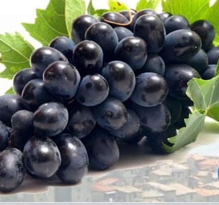 Sagra dell'Uva Piglio 2026