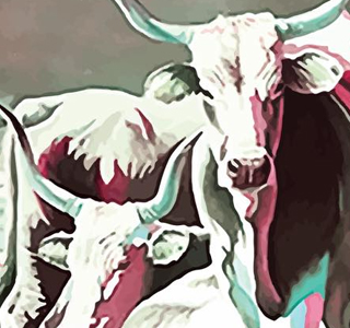Sagra della Carne Maremmana Monte Romano 2025