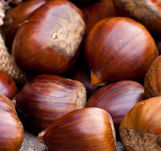 Sagra della Castagna Crocefieschi 2026