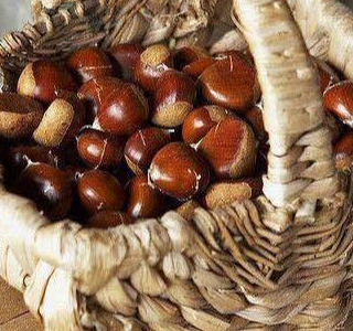 Sagra della Castagna Mezzomonte di Polcenigo 2026