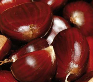 Sagra della Castagna Montefiore Conca 2023