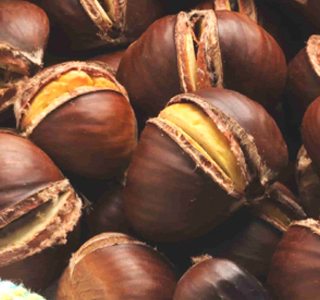 Sagra della Castagna Montefiore Conca 2026
