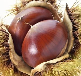 Sagra della Castagna Munnaredda Tramutola 2026