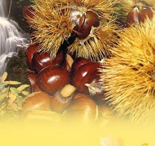 Sagra della Castagna Roscetta Canistro Inferiore 2026