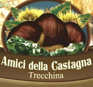 Sagra della Castagna Trecchina (PZ) 2024