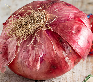 Sagra della Cipolla Rossa Breme 2023