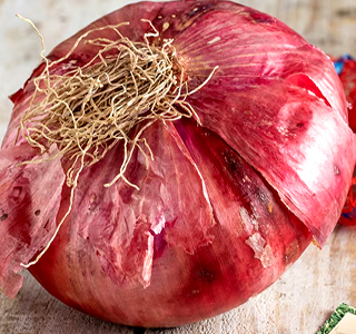 Sagra della Cipolla Rossa Breme 2025