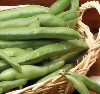Sagra della Fava Cerenzia 2025