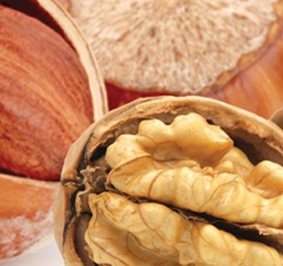 Sagra della Frutta Secca Casola di Domicella 2025