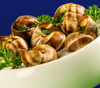 Sagra della Lumaca Casumaro di Finale Emilia 2024