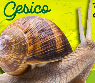 Sagra della Lumaca Gesico (SU) 2023