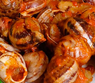 Sagra della Lumaca Moiano di Città della Pieve 2024