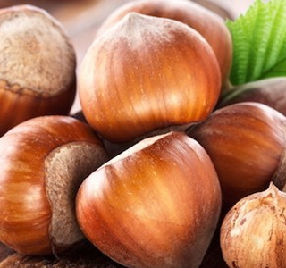 Sagra della Nocciola Prepezzano (SA) 2024