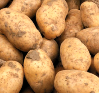 Sagra della Patata Lagarò Lupinacci 2025