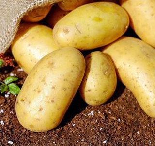 Sagra della Patata Monastir 2026