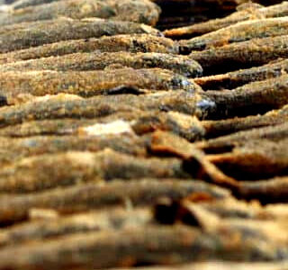 Sagra della Trota Loro Ciuffenna 2026