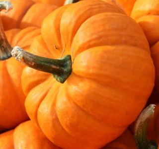 Sagra della Zucca Caorera (BL) 2024