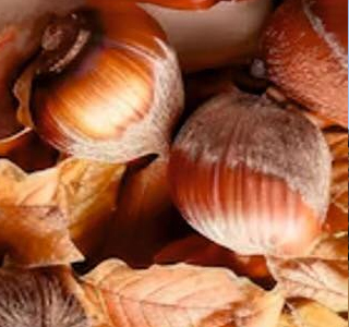 Sagra delle Castagne e del Prodotto Tipico Norma 2026