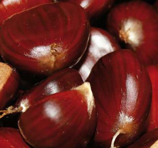 Sagra delle Castagne Garbagna 2026