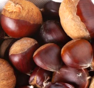Sagra delle Castagne Massino Visconti 2026
