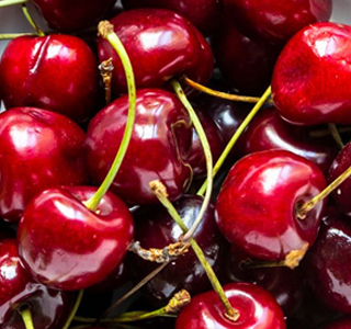 Sagra delle Ciliegia di Lari IGP Lari 2025