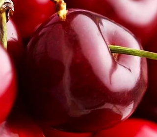 Sagra delle Ciliegie e delle Rose Macchia di Giarre 2023