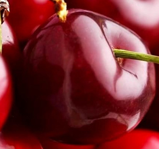 Sagra delle Ciliegie e delle Rose Macchia di Giarre 2025