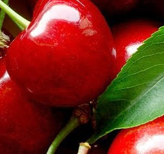 Sagra delle Ciliegie Montecchia di Crosara 2026