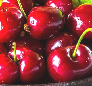 Sagra delle Ciliegie Pietracuta 2026