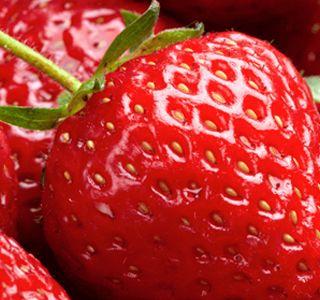 Sagra delle Fragole Nemi 2025