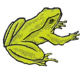 Sagra delle Rane Rivis 2026