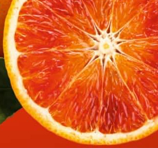 Sagra dellìArancia Rossa Francofontese Francofonte 2026