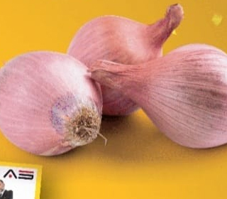 Sagra dello Scalogno Piacentino Castelvetro Piacentino 2024