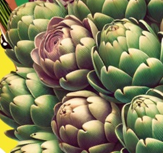 Sagra Preturese del Carciofo Preturo di Montoro 2026