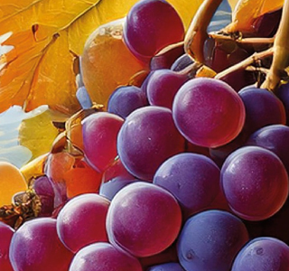 San Martino nelle Vecchie Cantine Civitanova del Sannio 2025