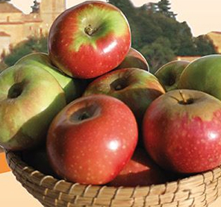 Saperi e Sapori della Mela Rosa Monte San Martino 2025