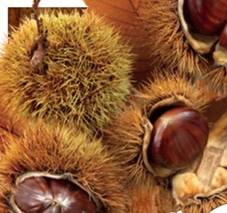 Sapori d'Autunno Opi (AQ) 2024