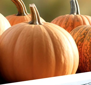 Sfida Nazionale della Zucca Sale Marasino 2026