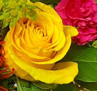 Susegana in Fiore Susegana 2026