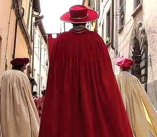 Trionfo del Carnevale Fossombrone (PU) 2024