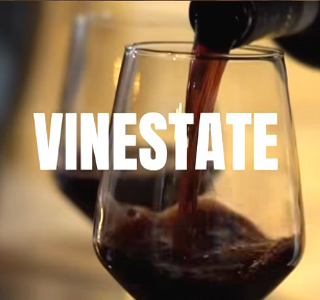 VinEstate Torrecuso 2026
